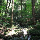 Review photo of Copake Falls Area — Taconic State Park by Kari M., September 28, 2016
