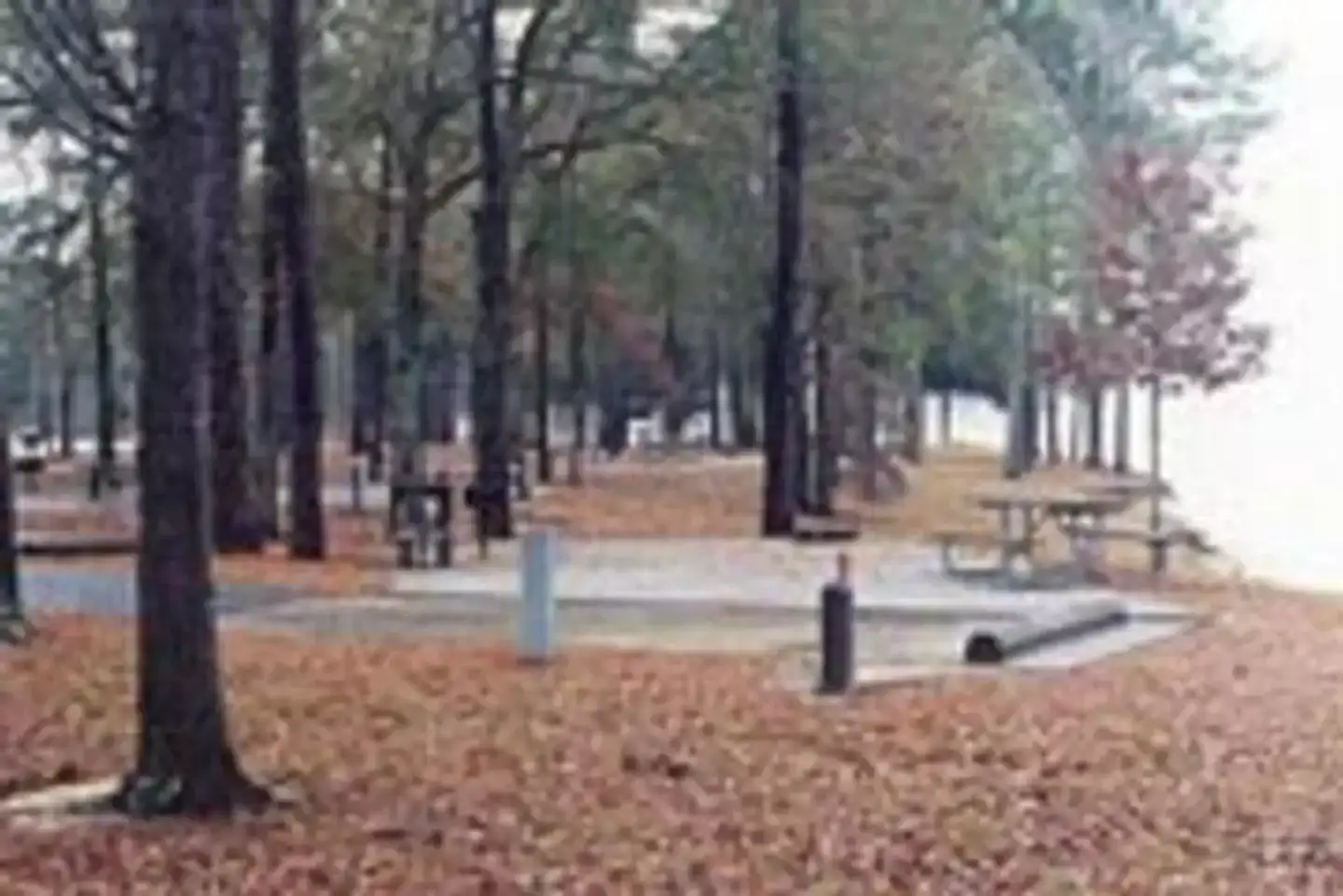 Camper-submitted photo at COE Walter F George Lake White Oak Creek Campground near Walter F. George Lake