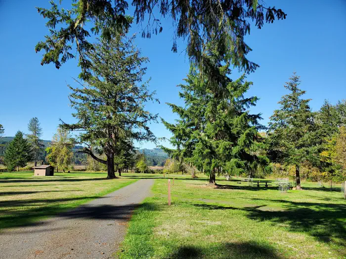 Camper-submitted photo at Pine Meadows Campground near Cottage Grove, OR