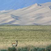 Review photo of Alamosa KOA by Kari T., September 28, 2016