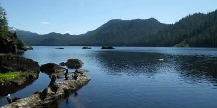 Camper submitted image from Anan Lake Cabin