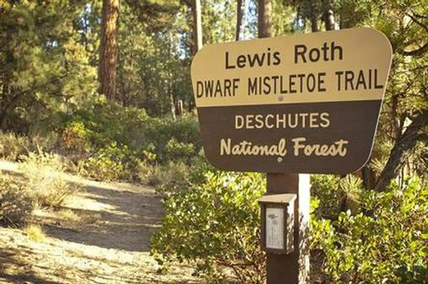 Camper submitted image from North Twin Lake Campground - 1