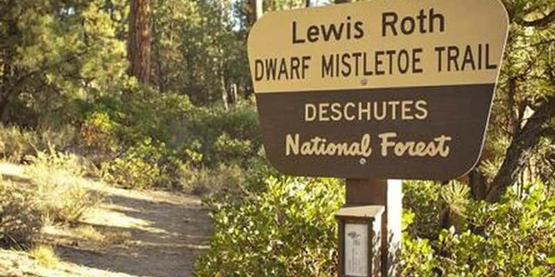 Camper submitted image from North Twin Lake Campground