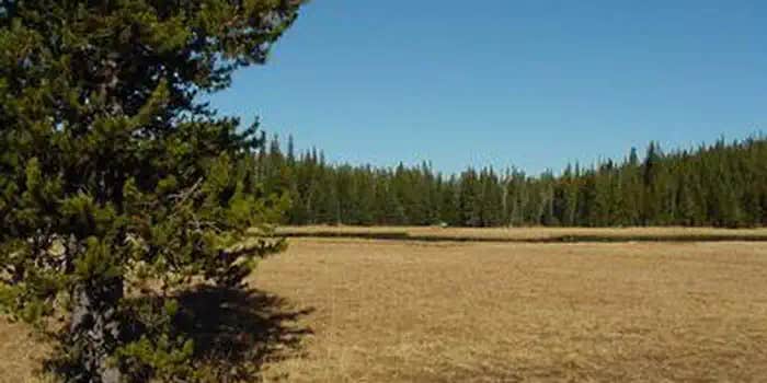 Camper submitted image from Mud Lake Campground