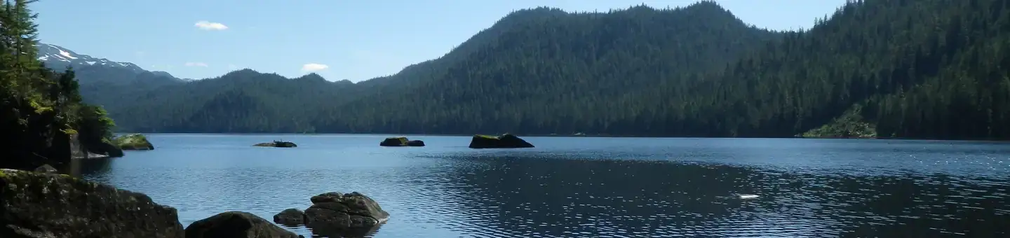 Camper-submitted photo at Anan Lake Cabin near Wrangell, AK