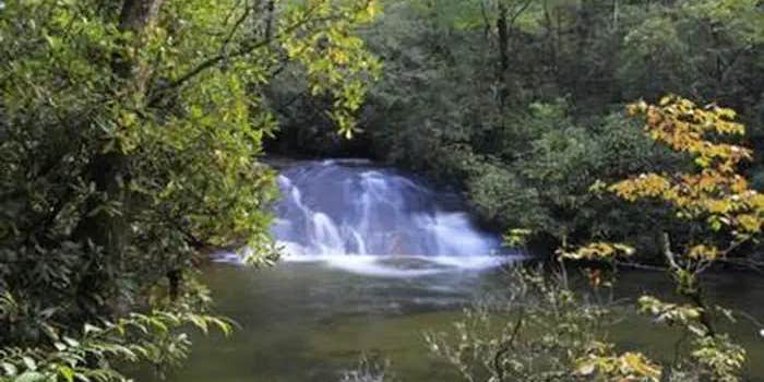 Camper submitted image from Pisgah National Forest Cove Creek Group Campground