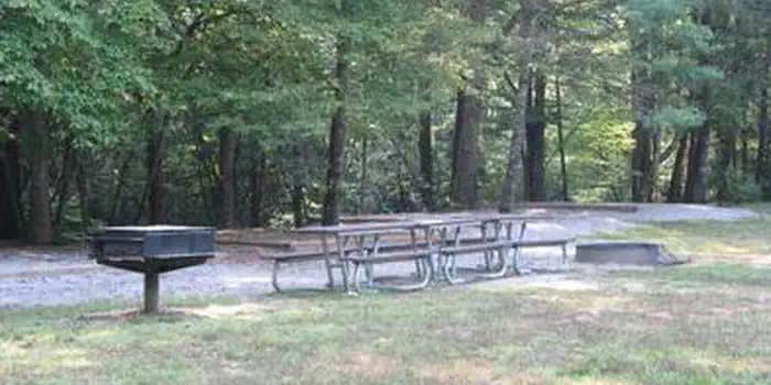 Camper submitted image from Cataloochee Group Campground — Great Smoky Mountains National Park