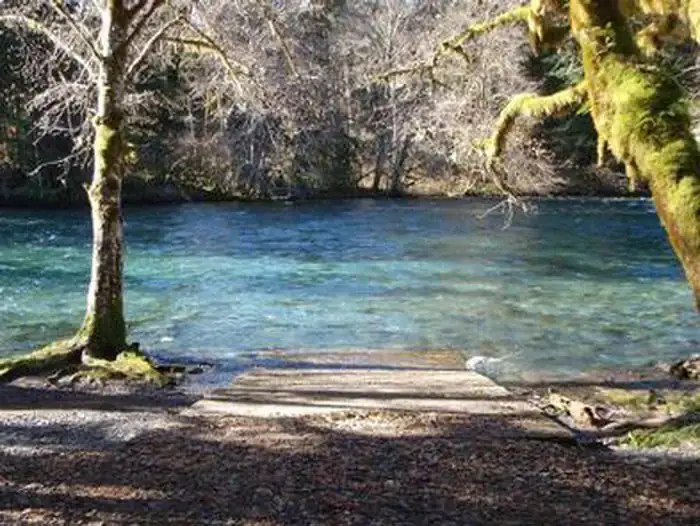 Camper-submitted photo at Mckenzie Bridge near Willamette National Forest