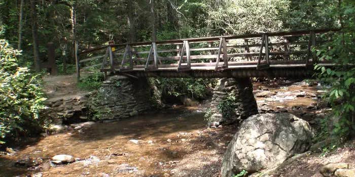 Camper submitted image from Desoto Falls Recreation Area