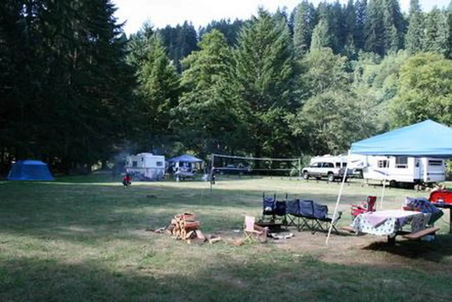 Camper submitted image from Siuslaw National Forest Blackberry Campground - 1