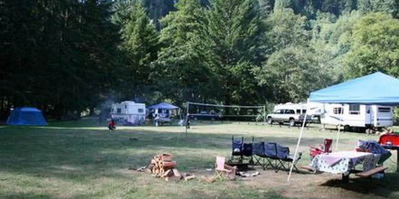 Camper submitted image from Siuslaw National Forest Blackberry Campground