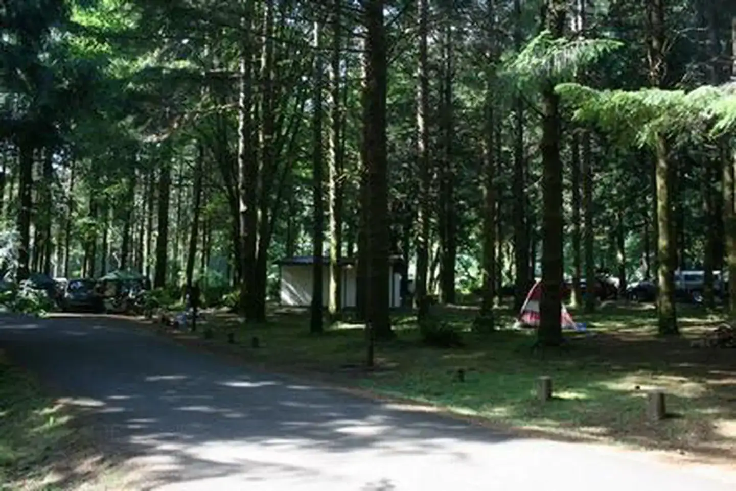 Camper-submitted photo at Siuslaw National Forest Blackberry Campground near Alsea, OR
