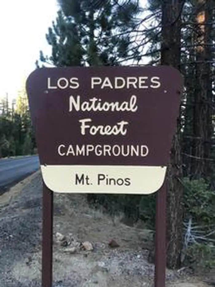 Camper submitted image from Mt. Pinos Campground - 1