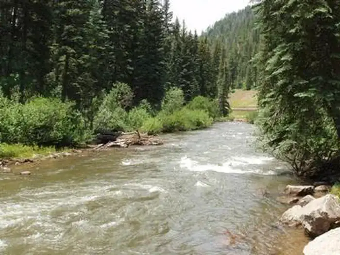 Camping near Priest Gulch Campground and RV Park Cabins and Lodge: West Dolores Campground, Rico, Colorado