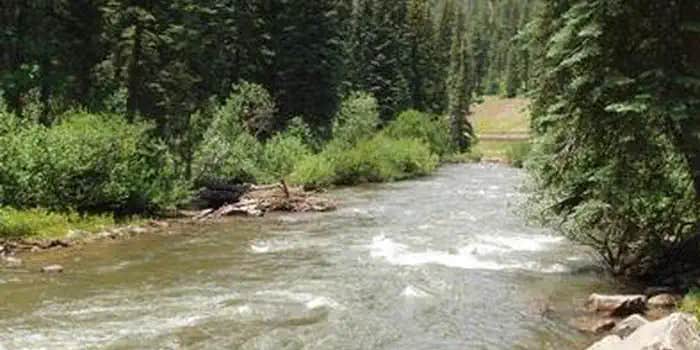 Camper submitted image from West Dolores Campground