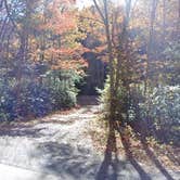 Review photo of Lake Sherwood Road Dispersed Camping in Monongahela National Forest by Camp With Me , December 14, 2025