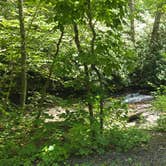 Review photo of Lake Sherwood Road Dispersed Camping in Monongahela National Forest by Camp With Me , December 14, 2025
