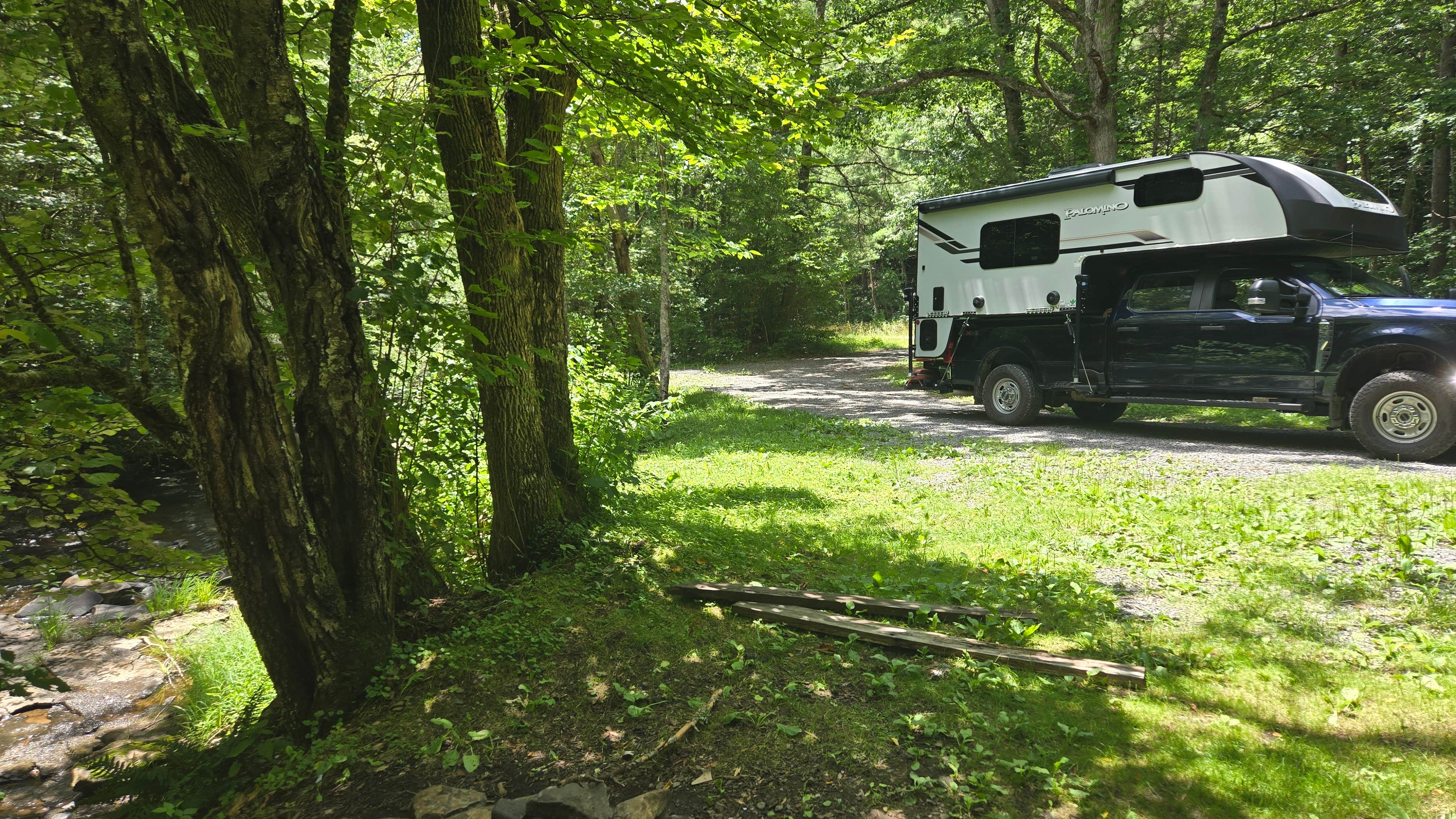 Camper-submitted photo at Lake Sherwood Road Dispersed Camping in Monongahela National Forest near George Washington & Jefferson National Forest