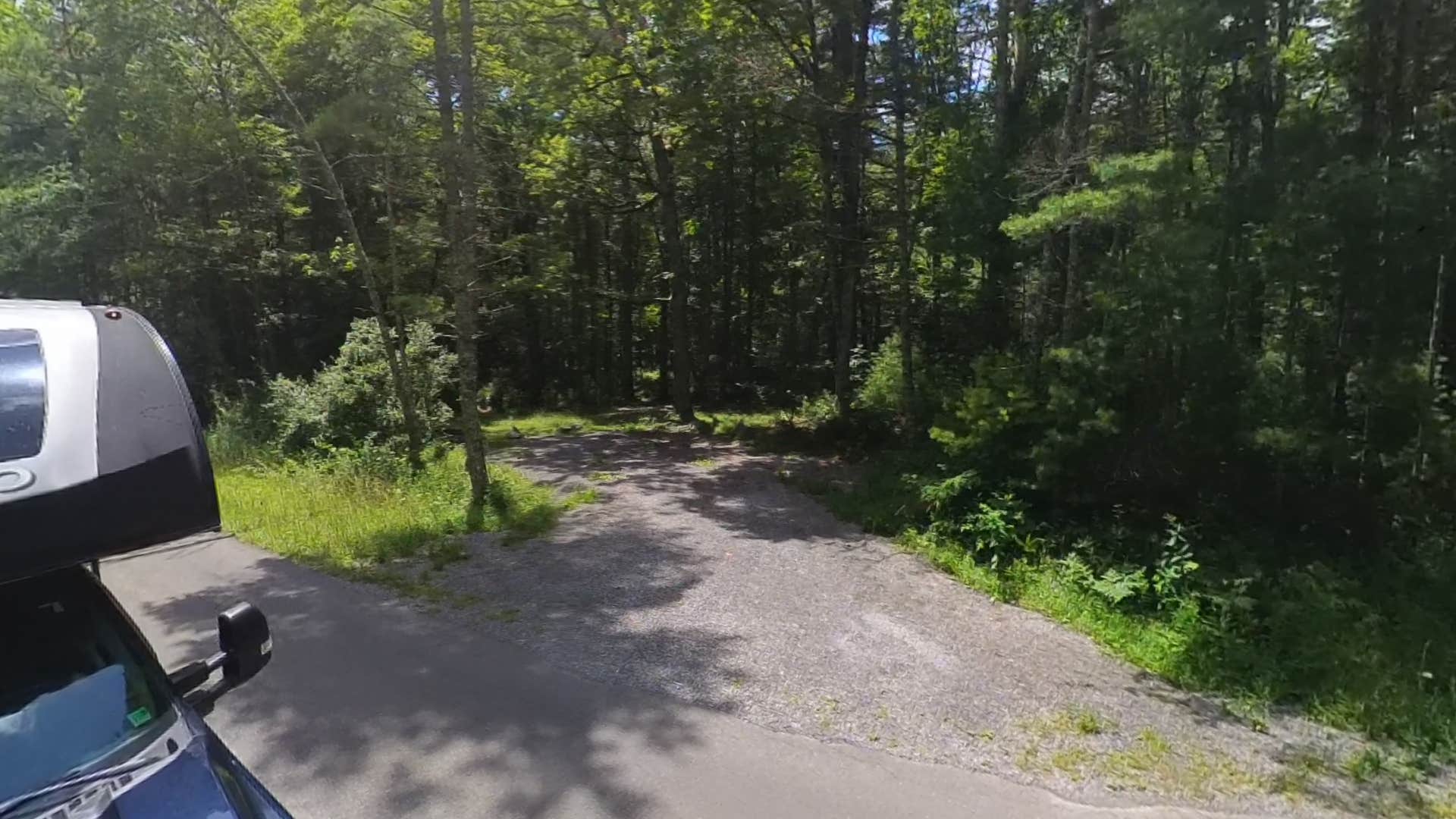 Camper-submitted photo at Lake Sherwood Road Dispersed Camping in Monongahela National Forest near Covington, VA