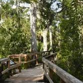 Review photo of Cypress Bend State Rec Area by Jason B., December 14, 2025