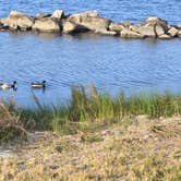 Review photo of St. Andrews State Park Campground by Camp With Me , December 14, 2025