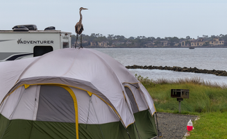 Camp With Me's photo at St. Andrews State Park Campground near Panama City, FL