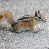 Review photo of Lodgepole Campground by Pam J., December 16, 2025