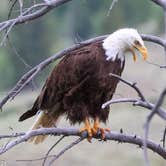 Review photo of Green River Lakes Campground by Pam J., December 16, 2025