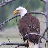 Review photo of Green River Lakes Campground by Pam J., December 16, 2025