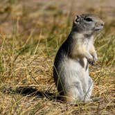 Review photo of Slate Creek Campground by Pam J., December 16, 2025