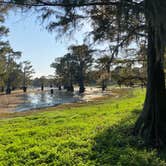 Review photo of Lake Bistineau State Park Campground by Gary B., December 17, 2025