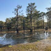Review photo of Lake Bistineau State Park Campground by Gary B., December 17, 2025