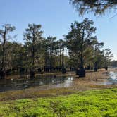 Review photo of Lake Bistineau State Park Campground by Gary B., December 17, 2025