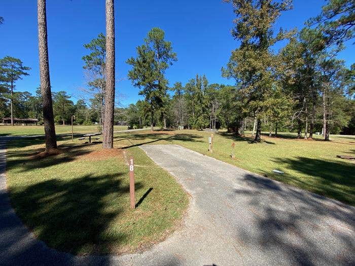 Camper-submitted photo at Big Biloxi Recreation Area near De Soto National Forest