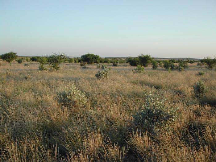 Camper-submitted photo at San Pedro Campground — Amistad National Recreation Area near Langtry, TX