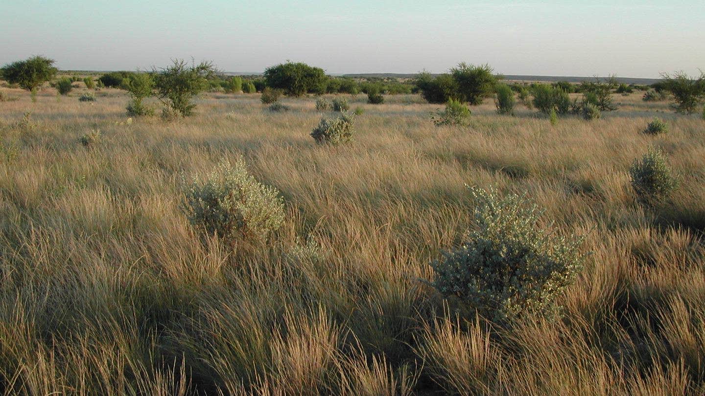 Camper-submitted photo at San Pedro Campground — Amistad National Recreation Area near Langtry, TX