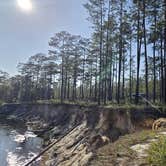 Review photo of Black Water River State Forest Primitive Camping by Camp With Me , December 17, 2025