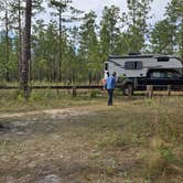 Review photo of Black Water River State Forest Primitive Camping by Camp With Me , December 17, 2025