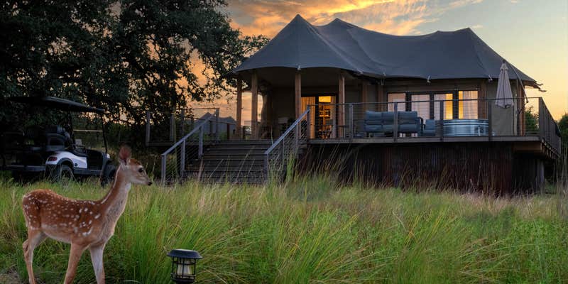 Camper submitted image from Outdoorsy Hill Country