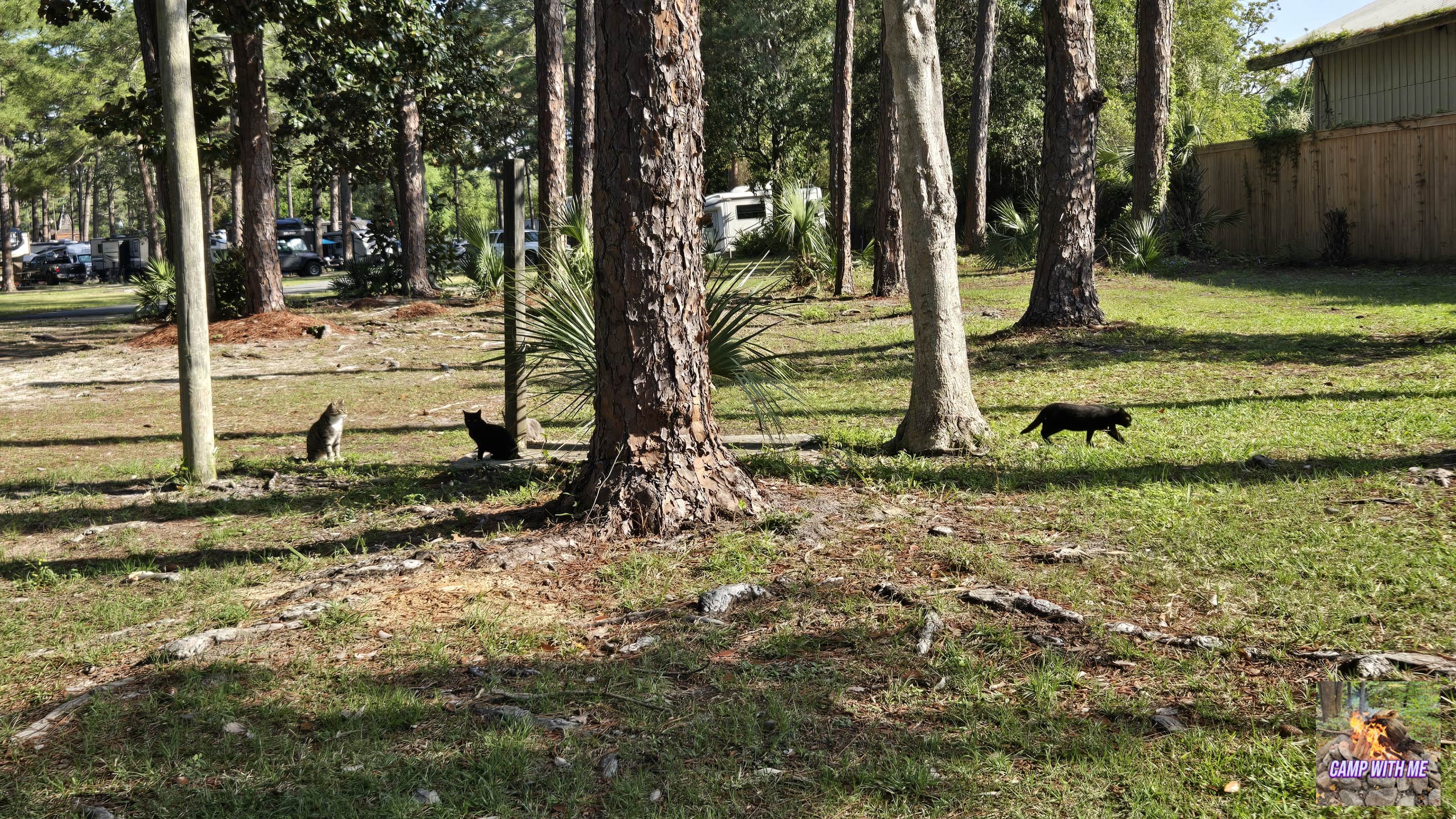 Camper-submitted photo at Raccoon River Campground near Fountain, FL