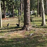 Review photo of Raccoon River Campground by Camp With Me , December 17, 2025