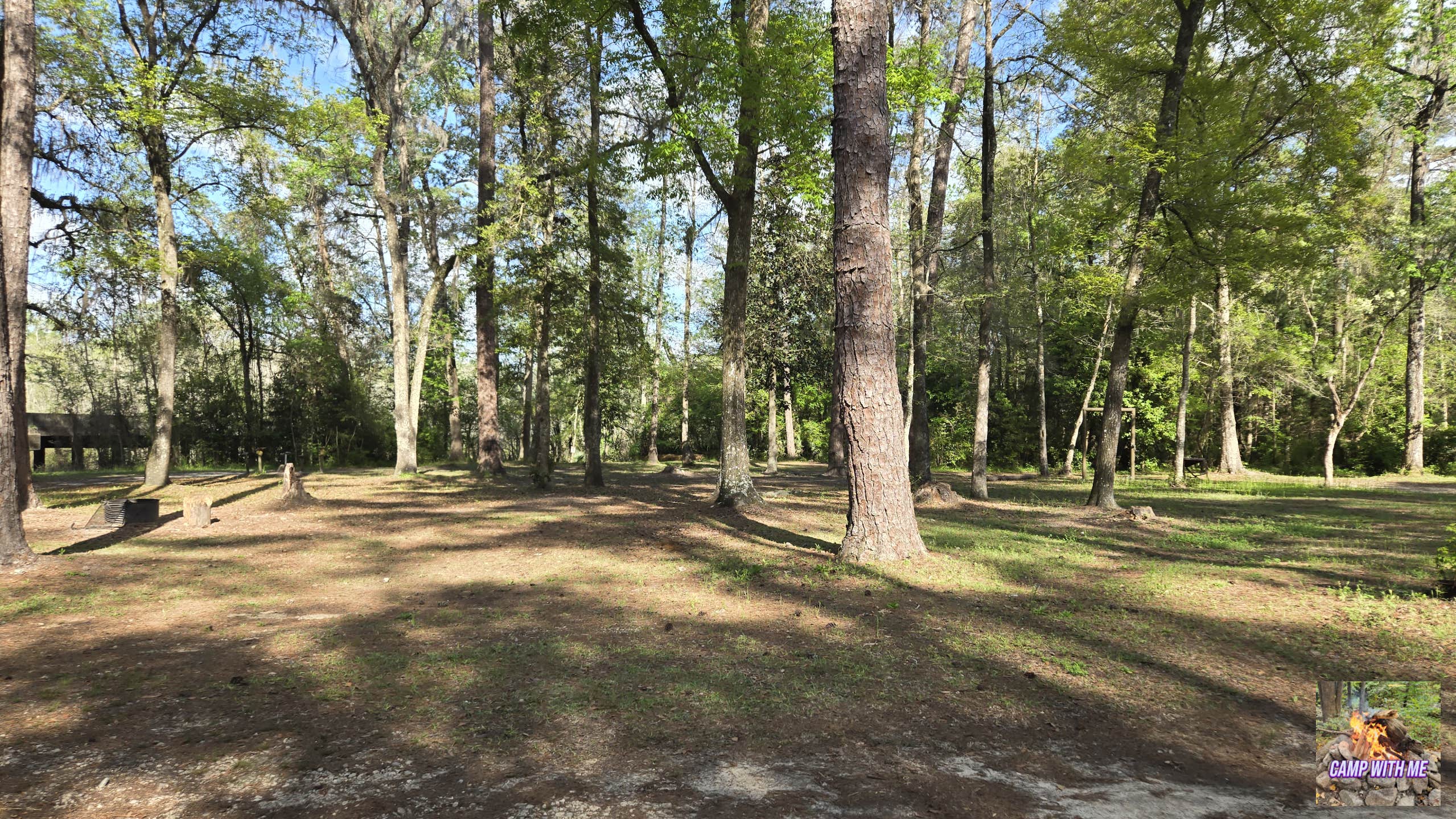 Camper-submitted photo at Porter Lake Campground near Apalachicola National Forest