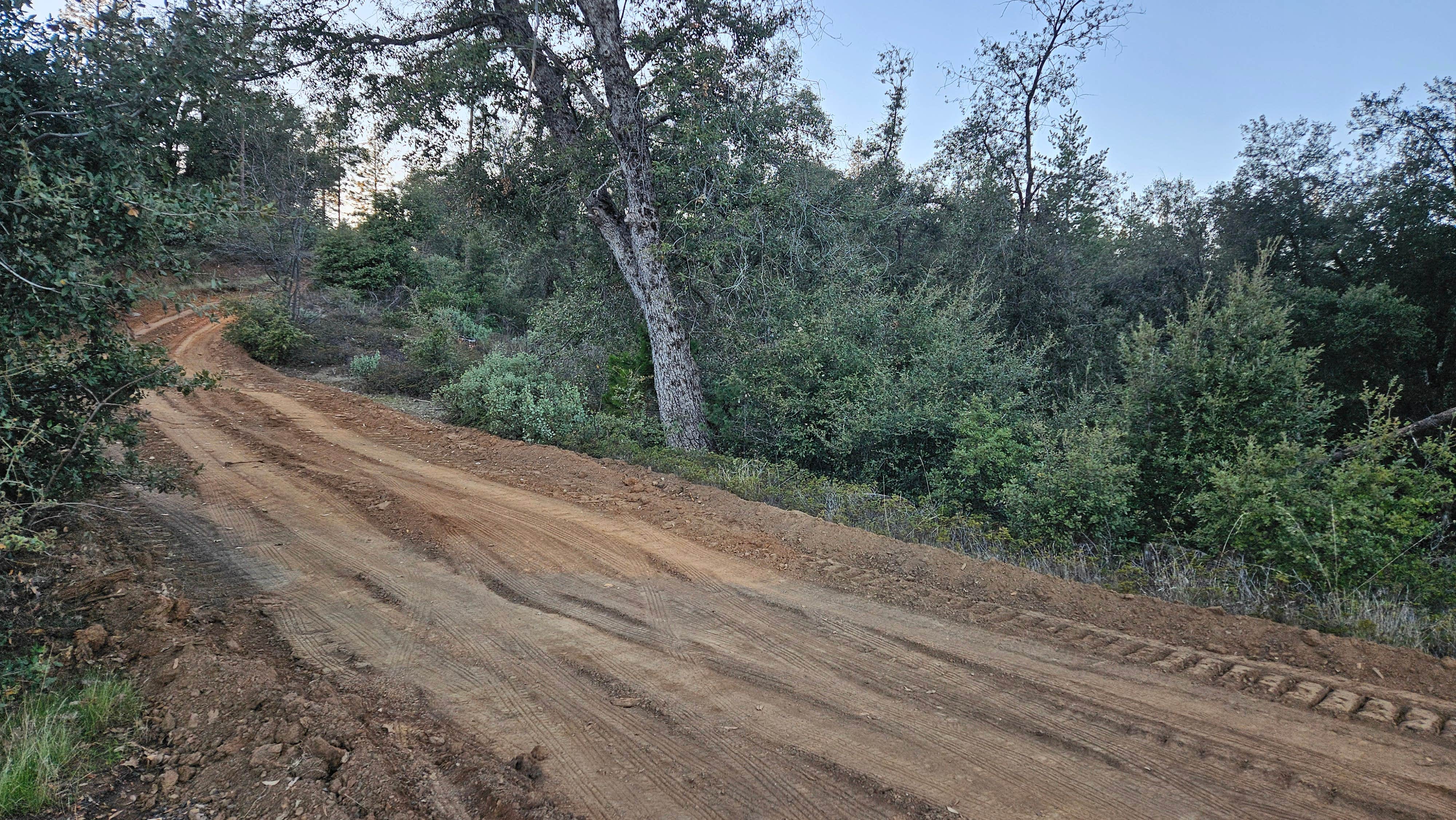 Camper submitted image from Van Haven Dispersed Site Yosemite - 4