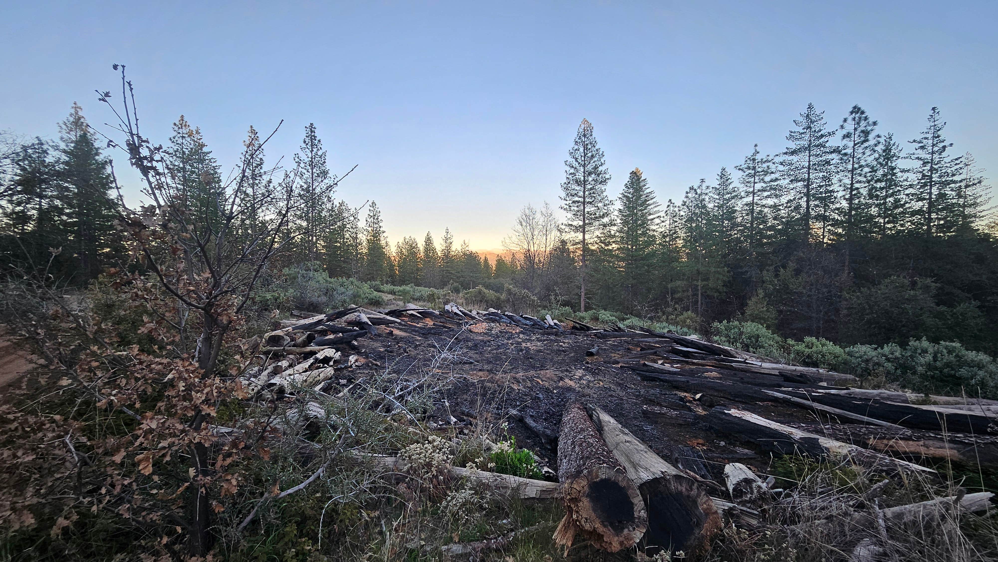 Camper-submitted photo at Van Haven Dispersed Site Yosemite near Groveland, CA