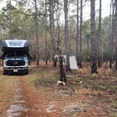 Review photo of Croatan Puddle - National Forest Dispersed - Pringle Road by Camp With Me , December 18, 2025