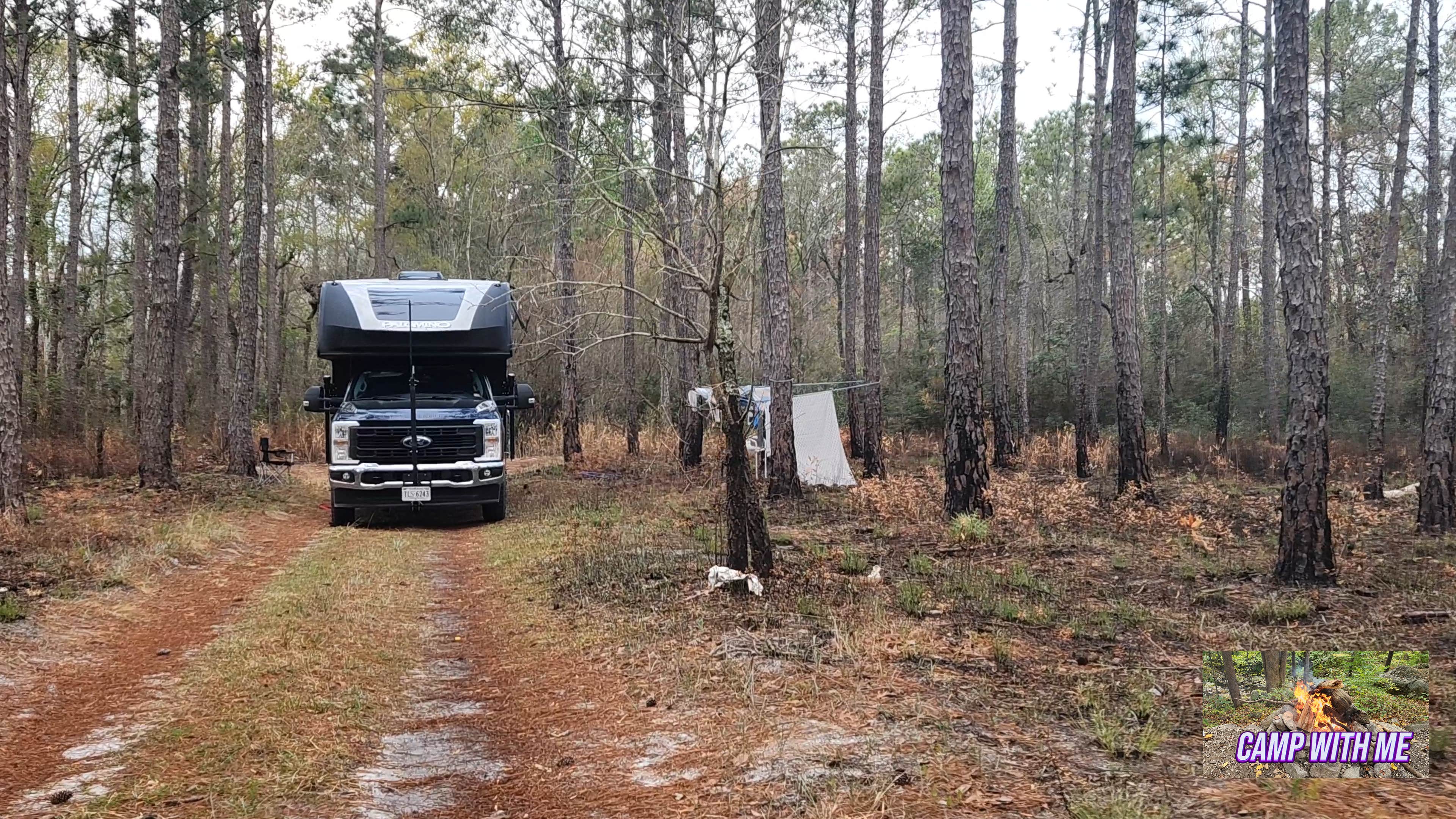 Camper submitted image from Croatan Puddle - National Forest Dispersed - Pringle Road - 1