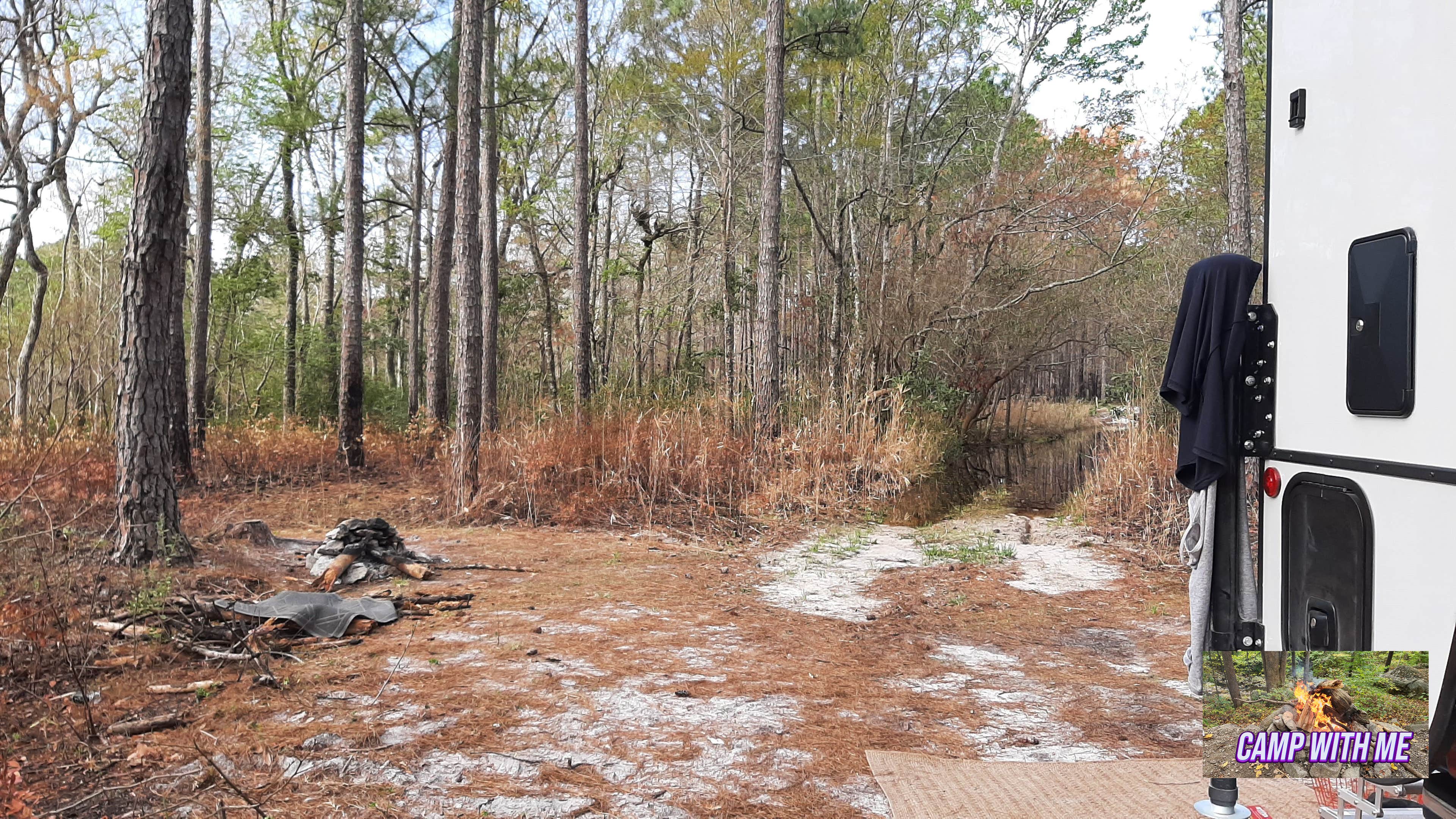 Camper submitted image from Croatan Puddle - National Forest Dispersed - Pringle Road - 5