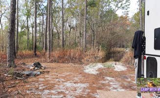 Camp With Me's photo at Croatan Puddle - National Forest Dispersed - Pringle Road near Morehead City, NC