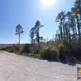 Review photo of Catfish Lake - Croatan National Forest by Camp With Me , December 18, 2025