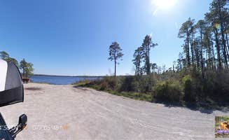 Camp With Me's photo of a dispersed camping area at Catfish Lake - Croatan National Forest in North Carolina